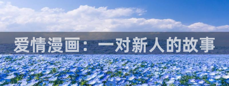 51漫画黄漫免费：爱情漫画：一对新人的故事