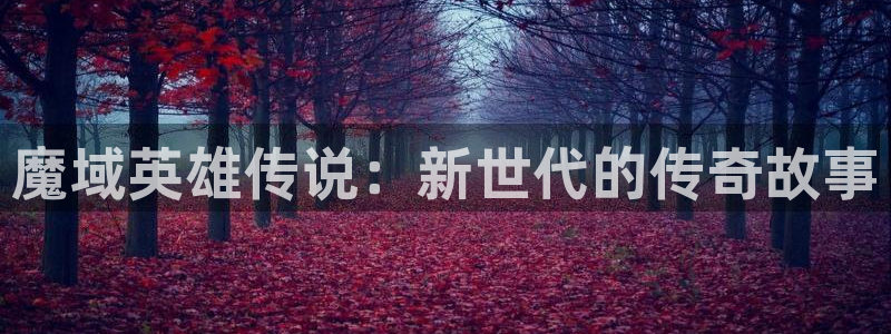 51漫画网站入口免费阅读：魔域英雄传说：新世代的传奇故事